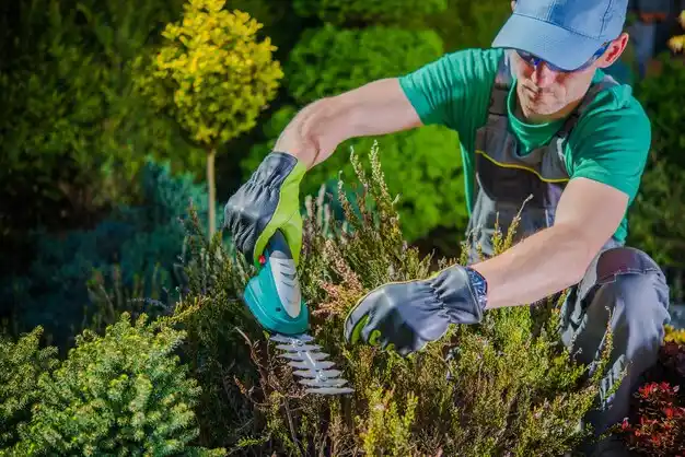 landscaping services Sand Ridge